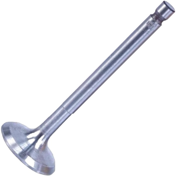 Válvula de Escape para Yamaha YBR 125 - Magneti Marelli - VEC43004