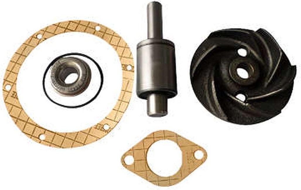 Kit de Reparo da Bomba de Água  - Indisa - 156008
