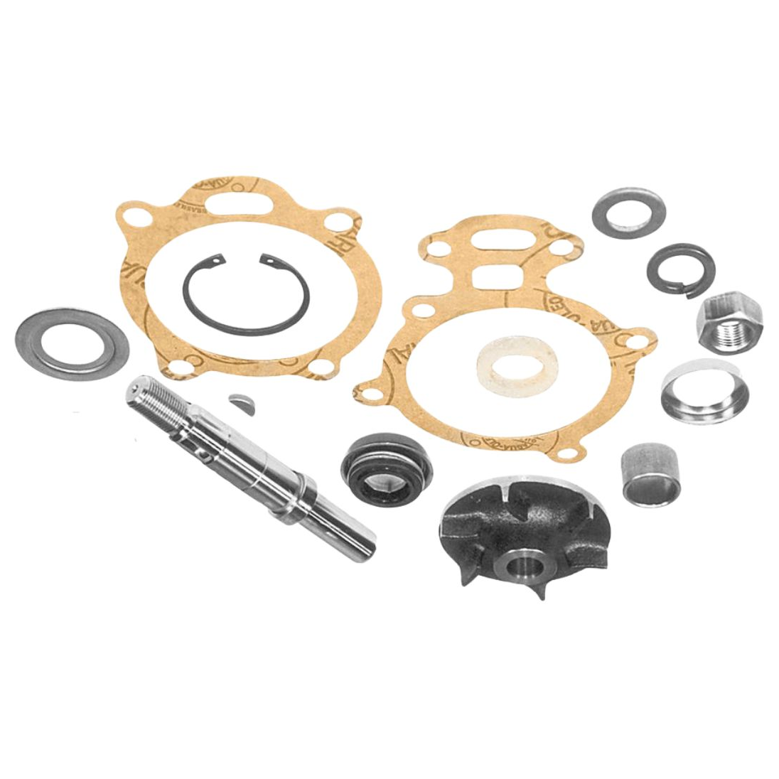 Kit de Reparo da Bomba de Água  - Indisa - 157001