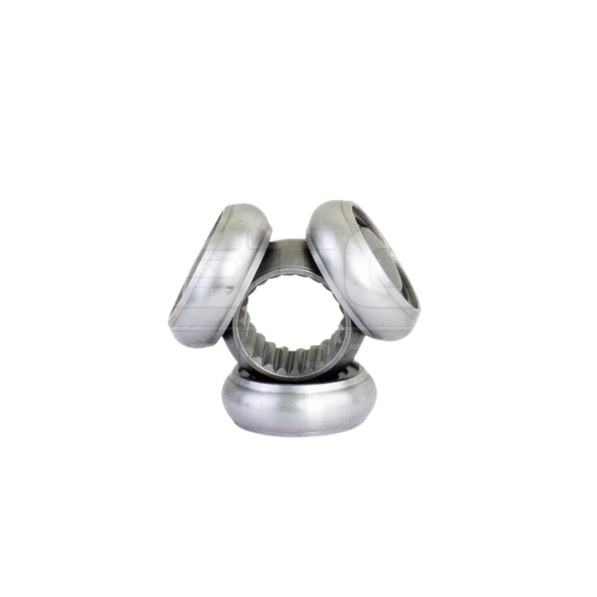 Tulipa - Vetor - VT5681