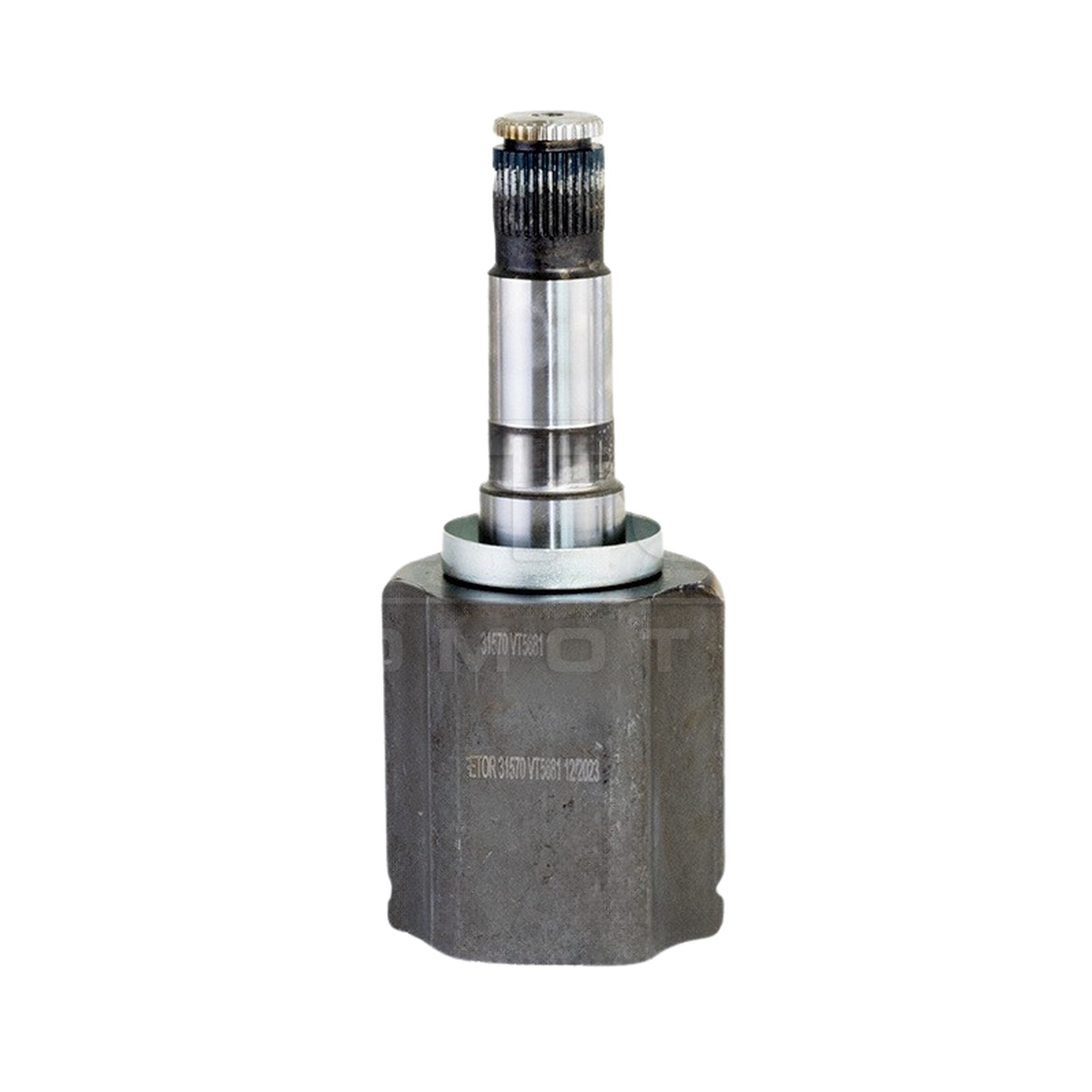 Tulipa - Vetor - VT5681