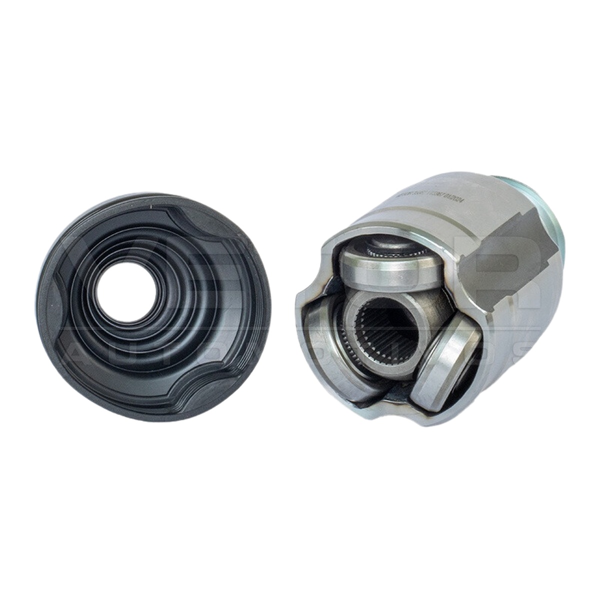 Tulipa - Vetor - VT5967