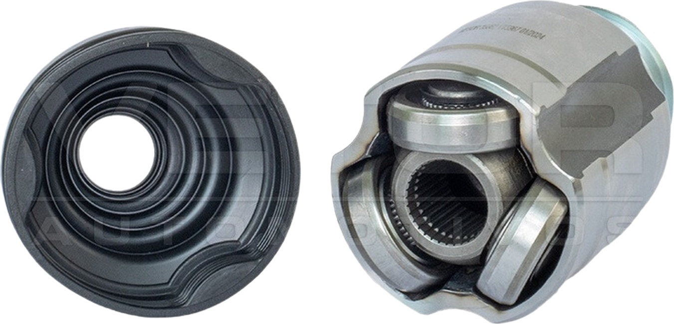 Tulipa - Vetor - VT5967