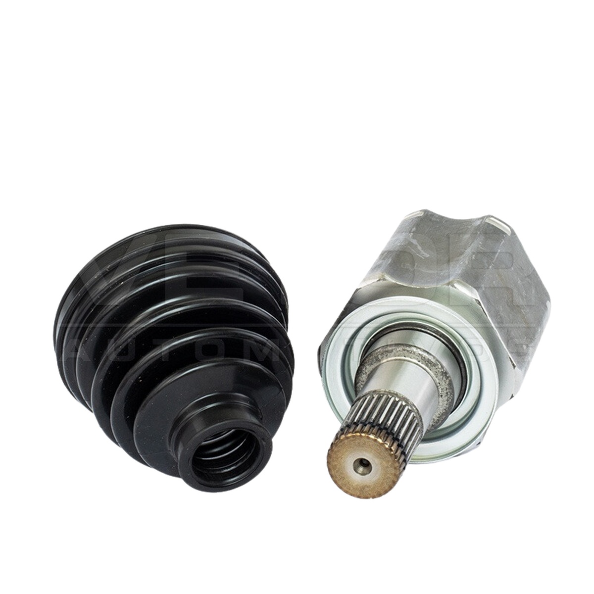 Tulipa - Vetor - VT5781