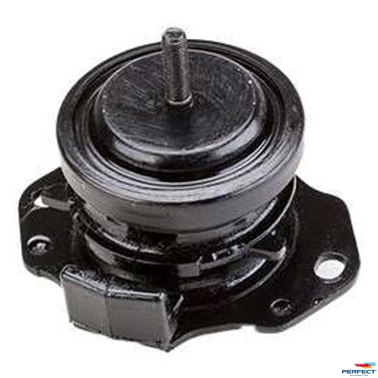 Rolamento do Cardan - Perfect - COX3117