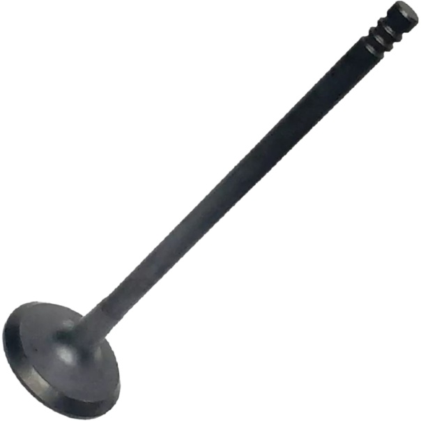 Válvula de Admissão - Mahle Metal Leve - VA0181779 STD