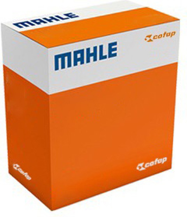 Pistão com Anéis 0,50 para Honda CG 160 e NXR 160 BROS - Mahle Cofap - CO P&A9825 0,50