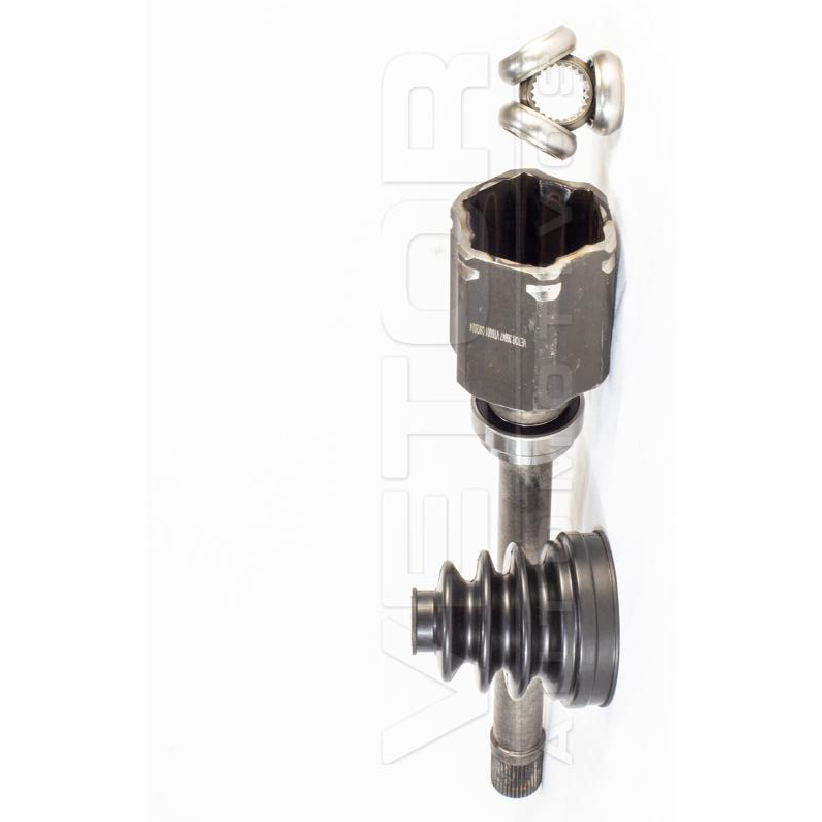 Tulipa Direita - Vetor - VT6001