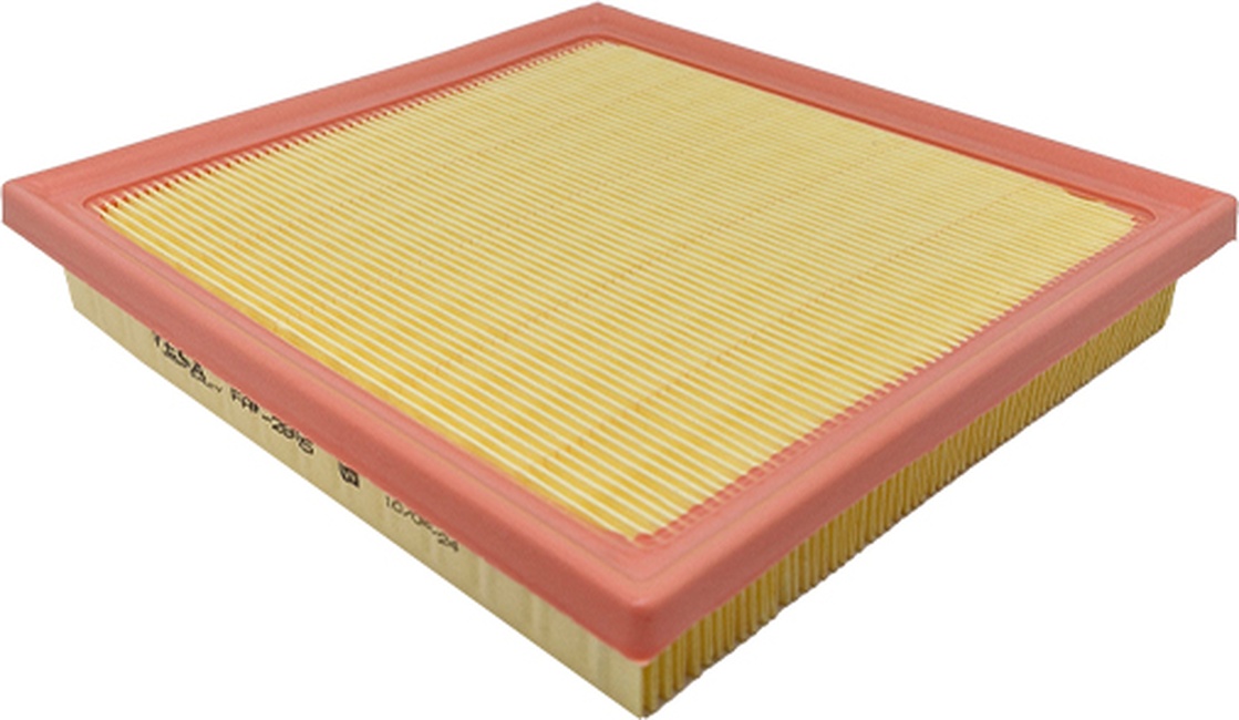 Filtro de Ar do Motor - Wega - FAP-2855