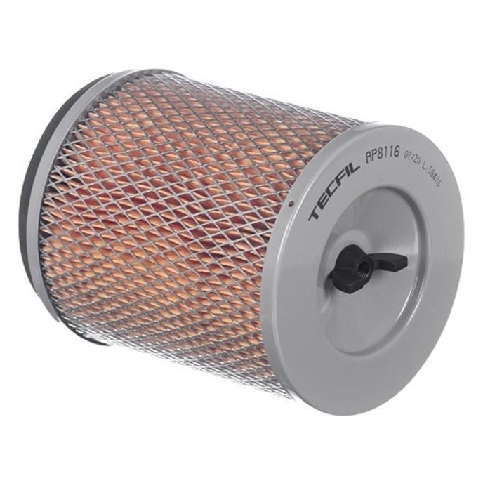 Filtro de Ar do Motor - Tecfil - AP8116