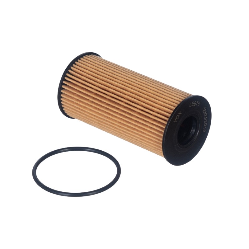 Filtro de Óleo Lubrificante para Renault Master - VOX - LE675