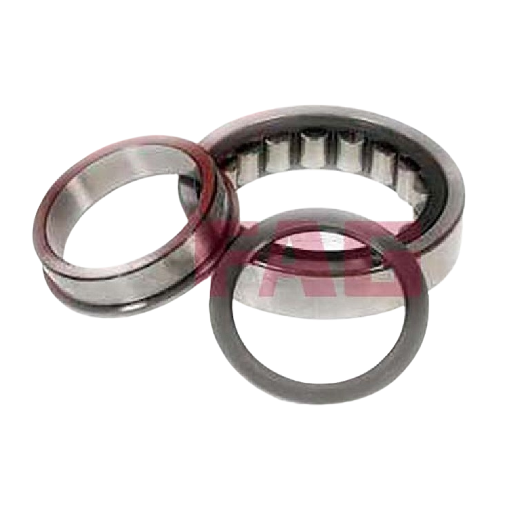 Rolamento de Rolos Cilíndricos - INA - 722 0855 10