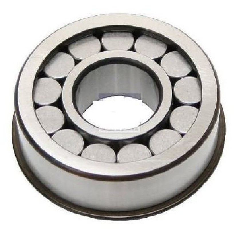 Rolamento de Rolos Cilíndricos - FAG - 580989