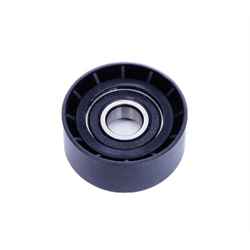Polia do Alternador - Dayco - APV2159