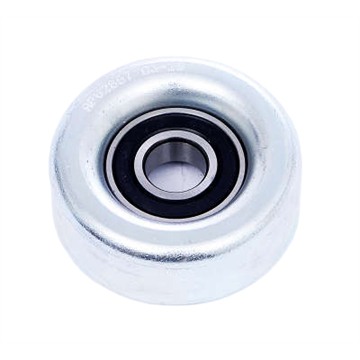 Polia do Alternador - Dayco - APV2867