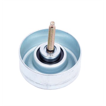Polia do Alternador - Dayco - APV2874