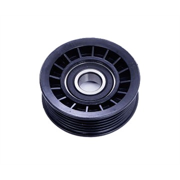 Polia do Alternador - Dayco - APV2885