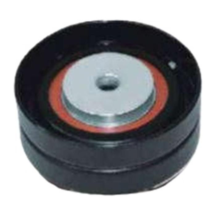 Polia do Alternador - Dayco - APV2901