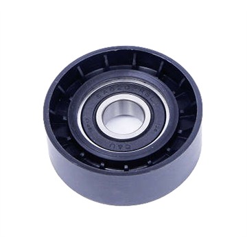 Polia do Alternador - Dayco - APV2924