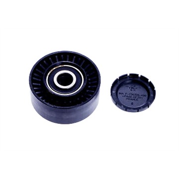 Polia de Acessórios - Dayco - APV2517