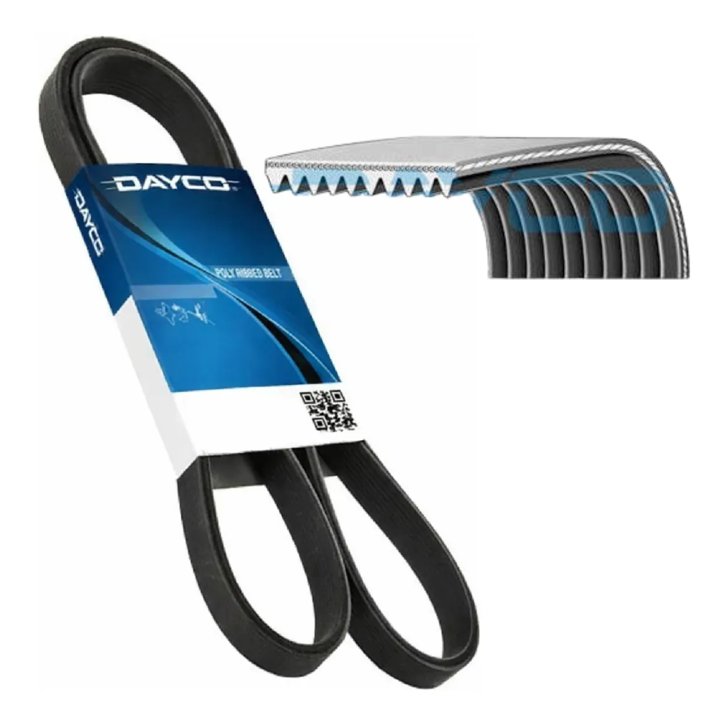 Correia Poly-V 10PK - Dayco - 10PK1630HD