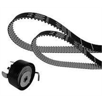 Kit Correia Dentada (Belt in Oil - Óleo) - Dayco - KBIO02