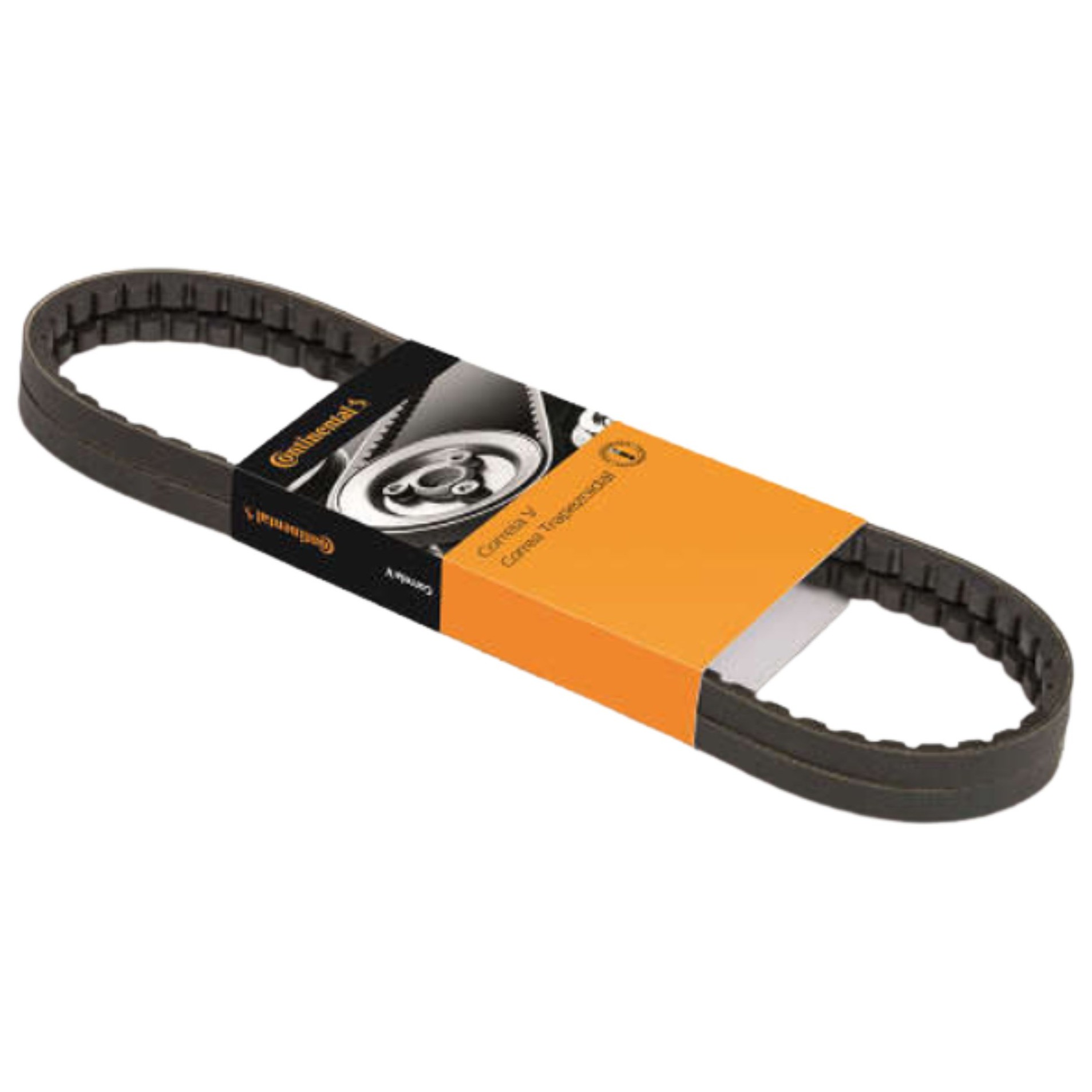 Correia V RAW-EDGE - Continental Contitech - AVX13X1005