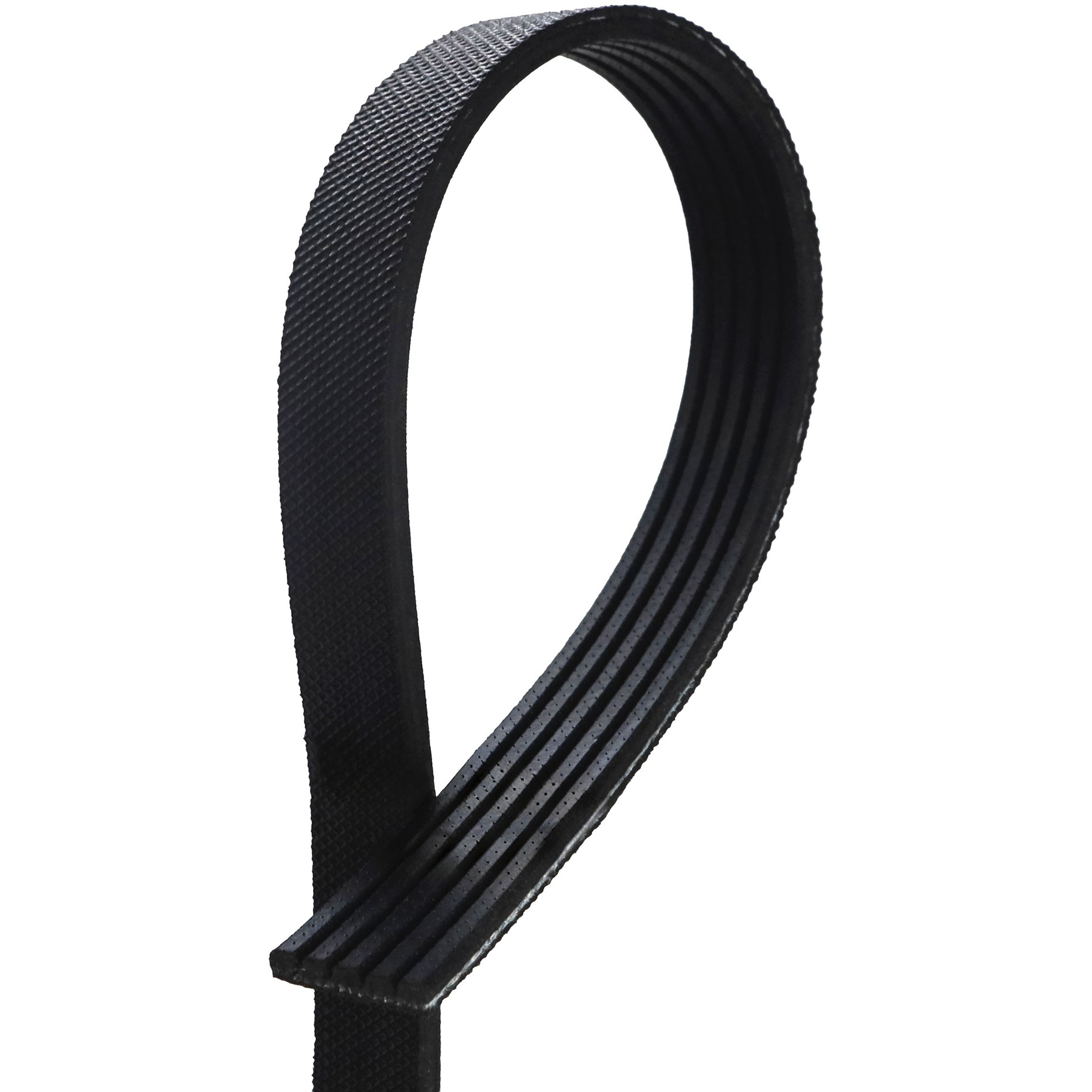 Correia Poly-V 5PK 725mm - Gates - 5PK0725