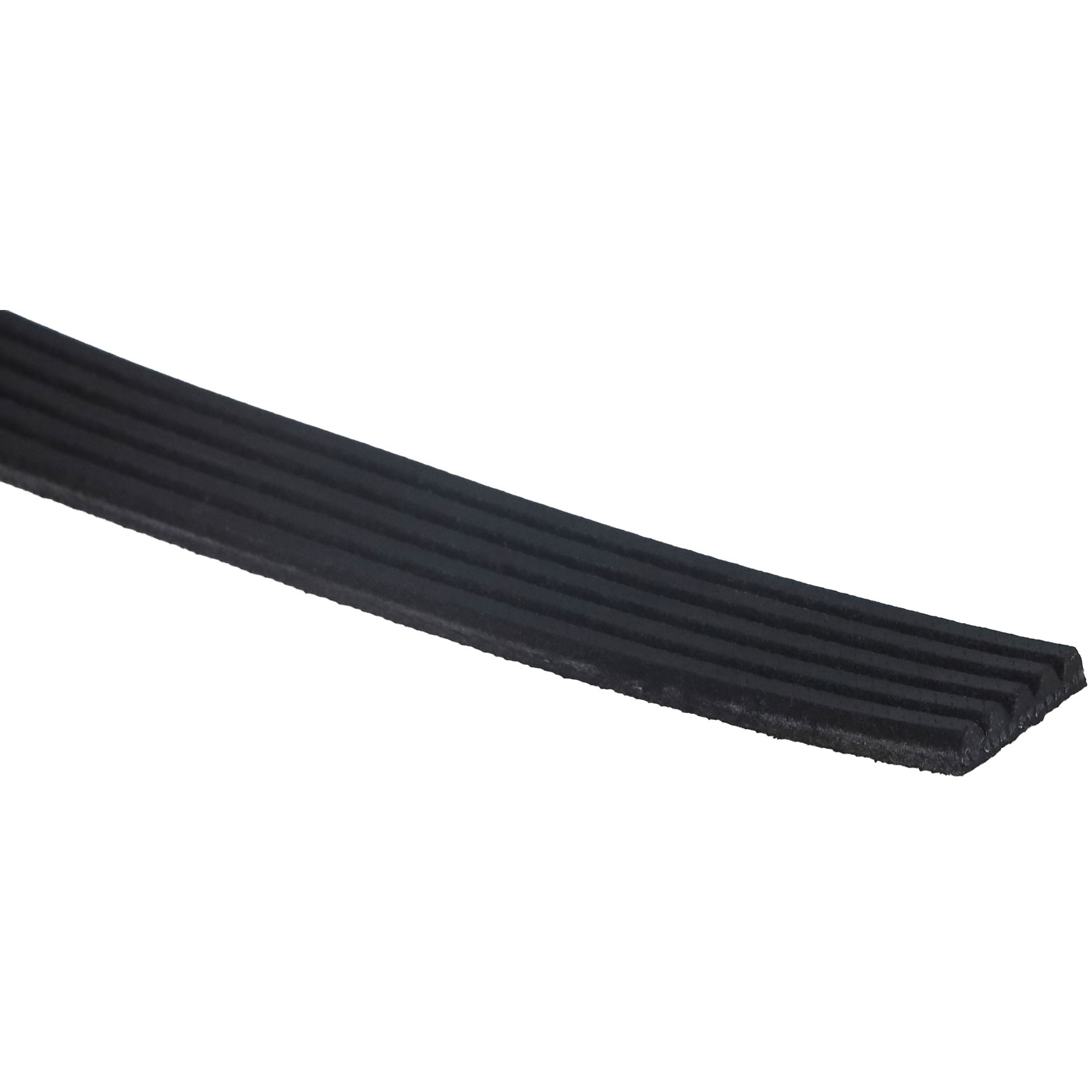 Correia Poly-V 5PK 725mm - Gates - 5PK0725