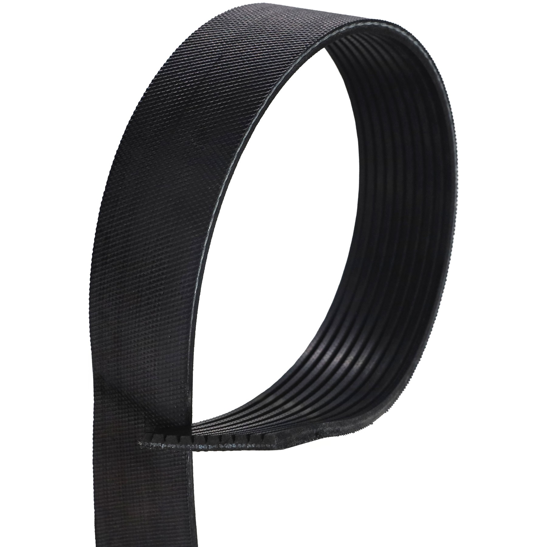 Correia Poly-V 10PK 1145mm - Gates - 10PK1150