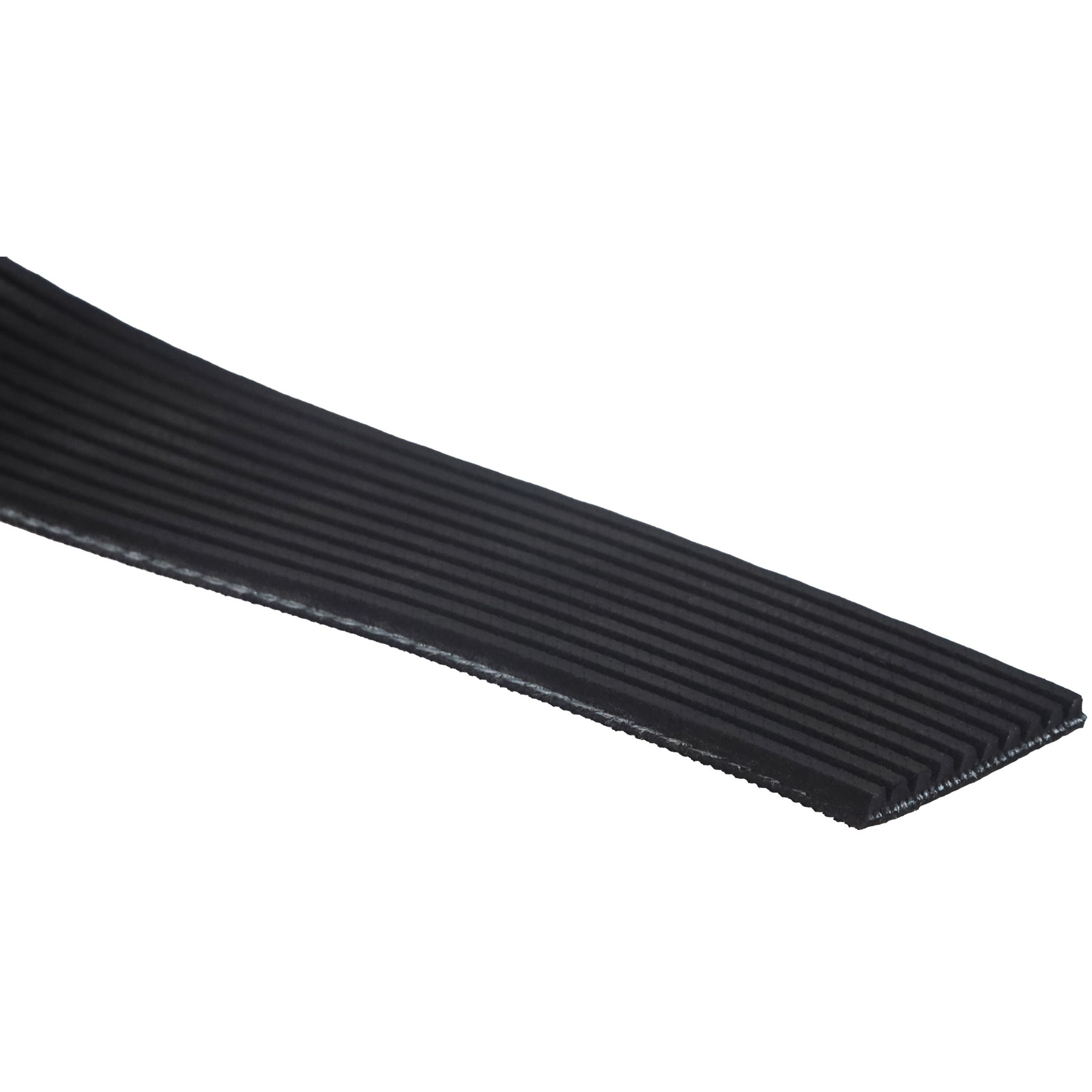 Correia Poly-V 10PK 1145mm - Gates - 10PK1150