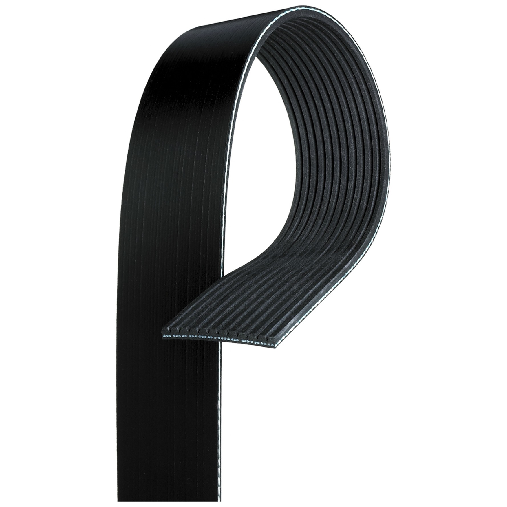Correia Poly-V 12PK 1830mm - Gates - 12PK1830HD