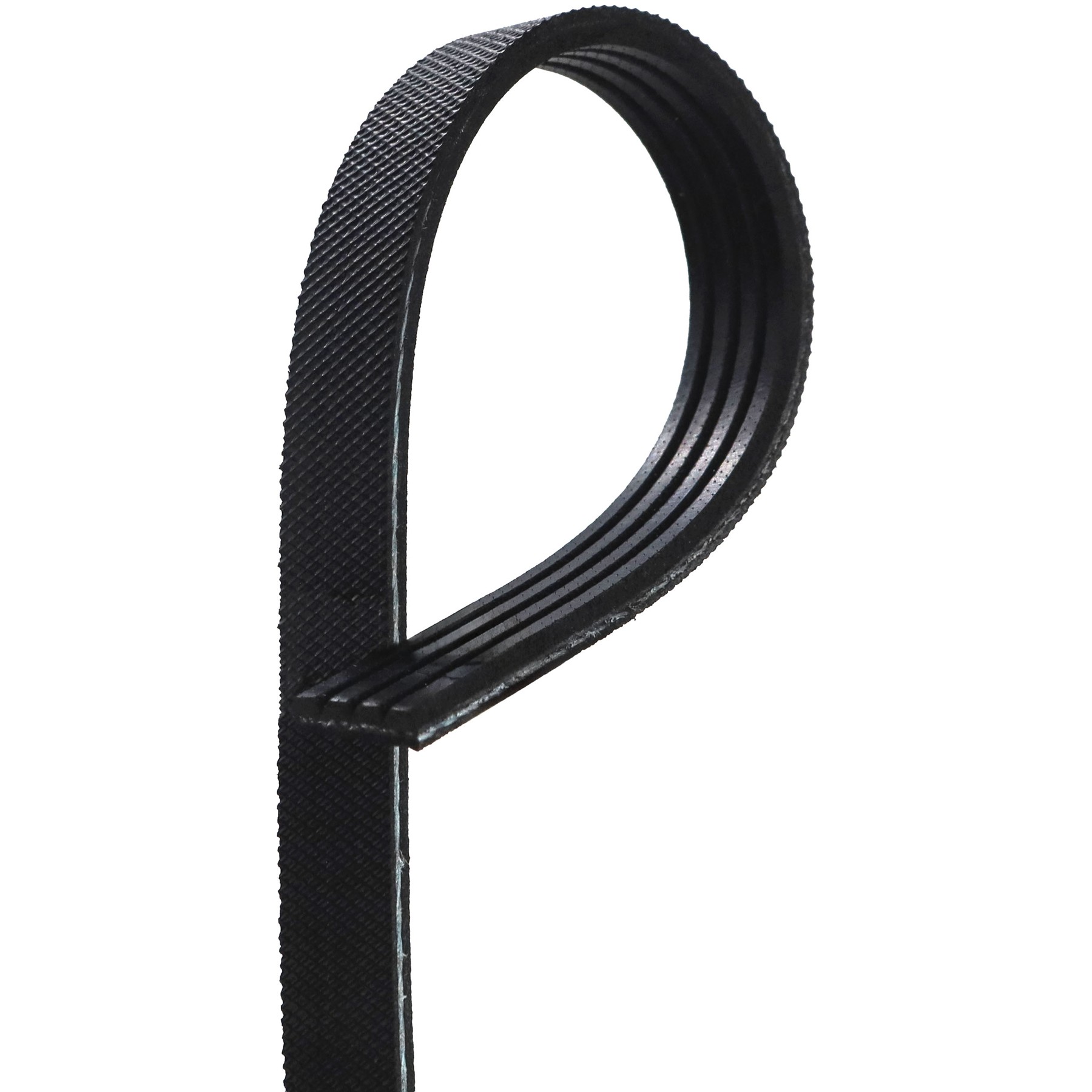 Correia Poly-V 4PK 1120mm - Gates - 4PK1120