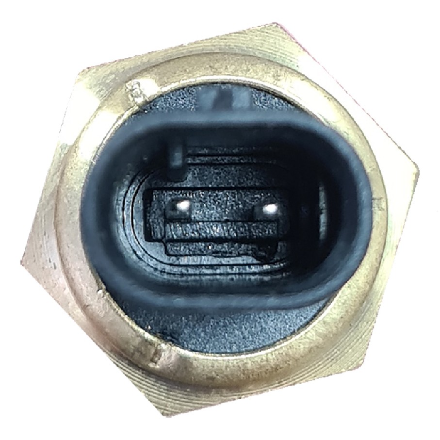 Sensor de Temperatura da Água - Gauss - GI10020