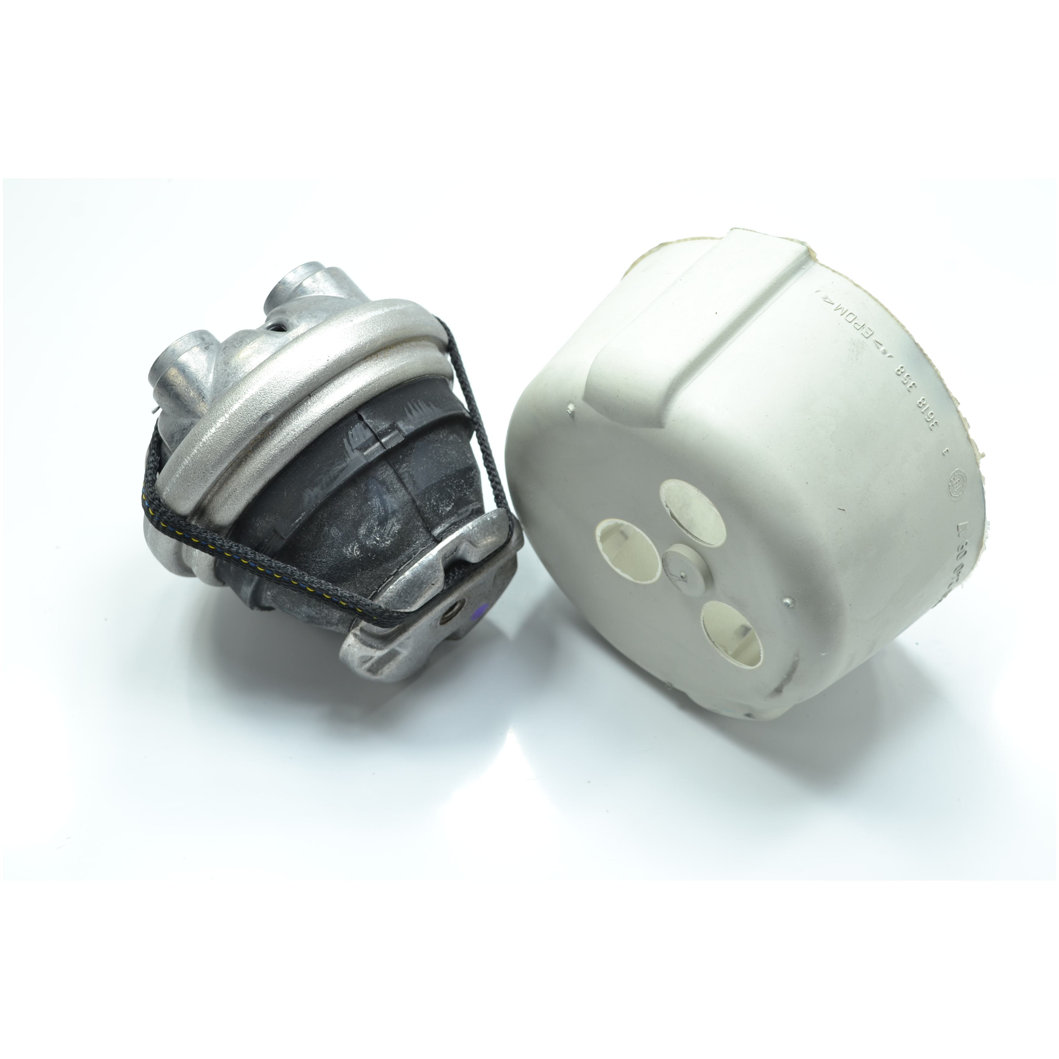 Coxim do Motor - LEMFÖRDER - 35796 01