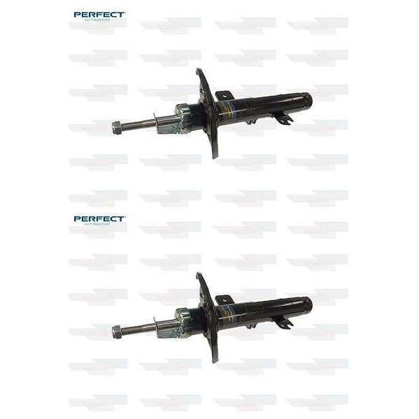 Par de Amortecedor Dianteiro da Suspensão - Perfect - Amd0504 / Amd0505