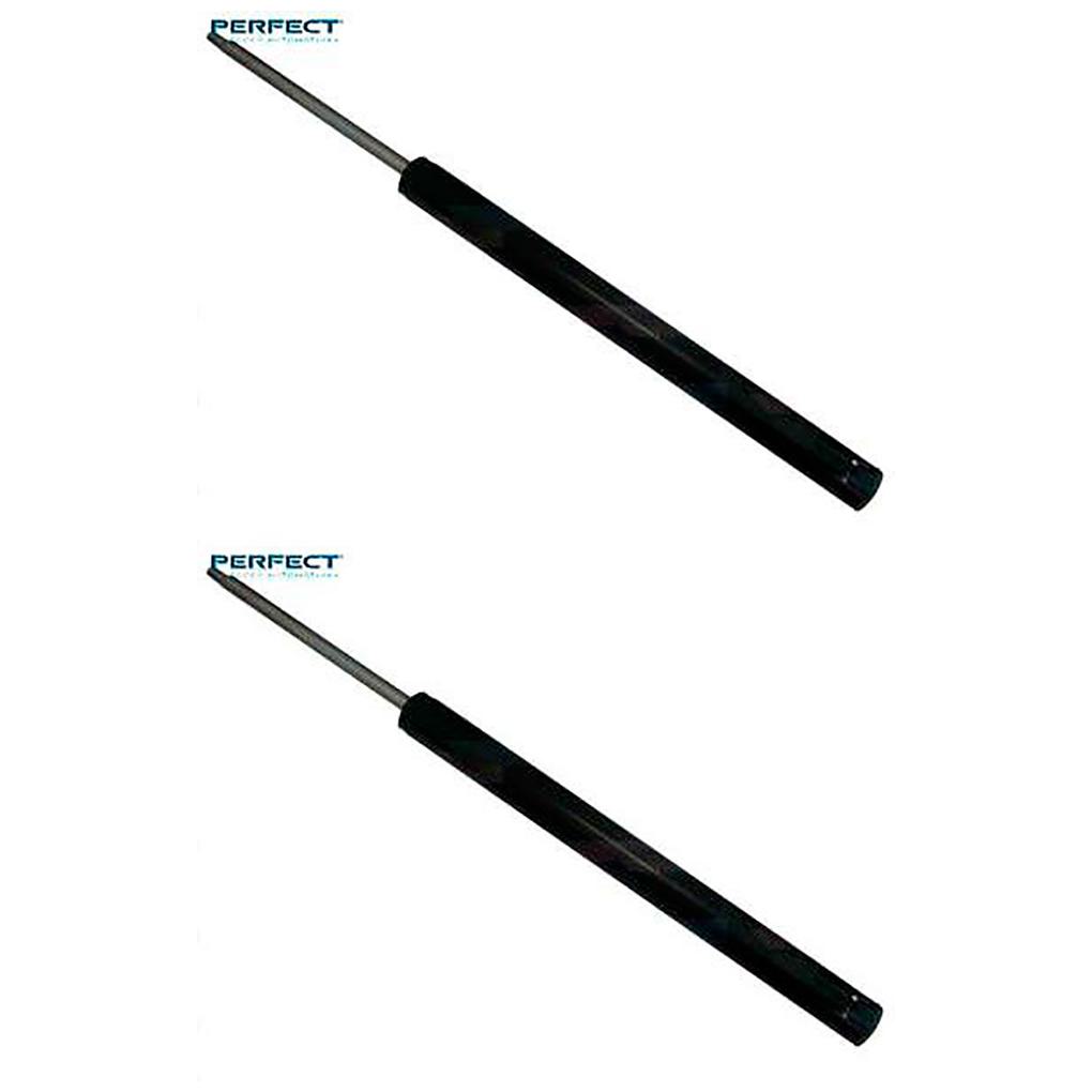Par de Amortecedor Traseiro da Suspensão - Perfect - AMD09123