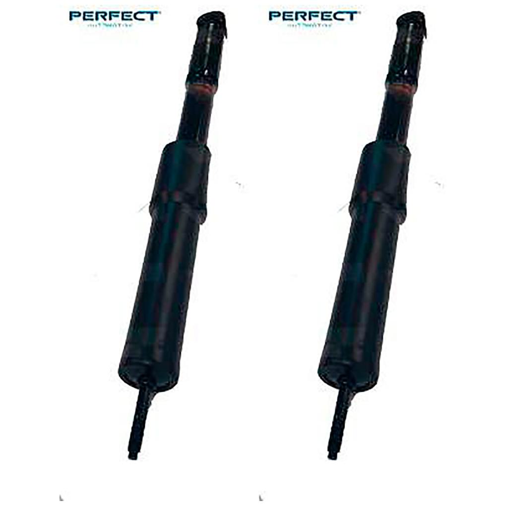 Par de Amortecedor Traseiro da Suspensão - Perfect - AMD05017